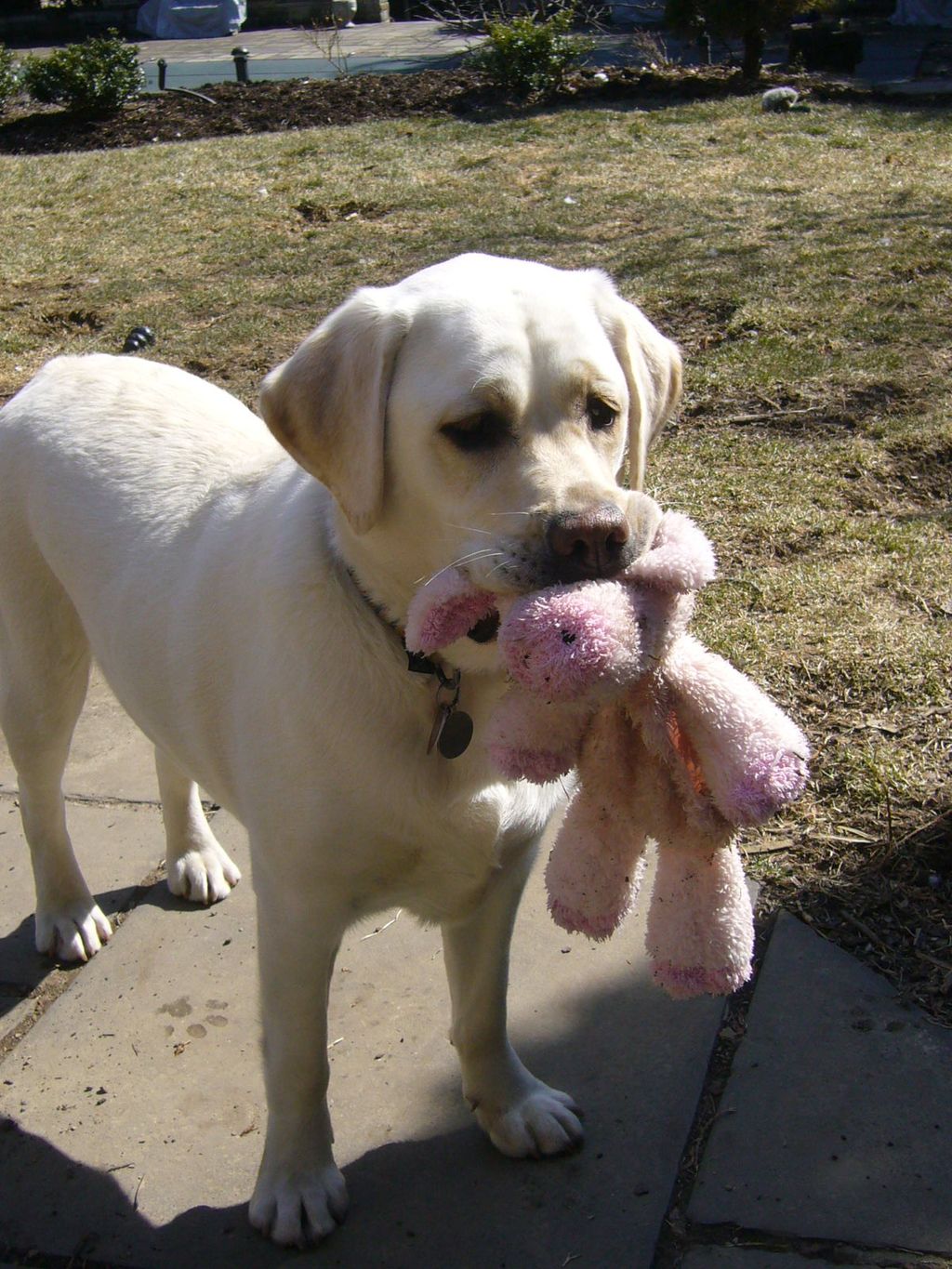 Baby Chelsea with her favorite toy!