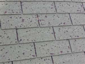 Hail Damage To an Old Roof