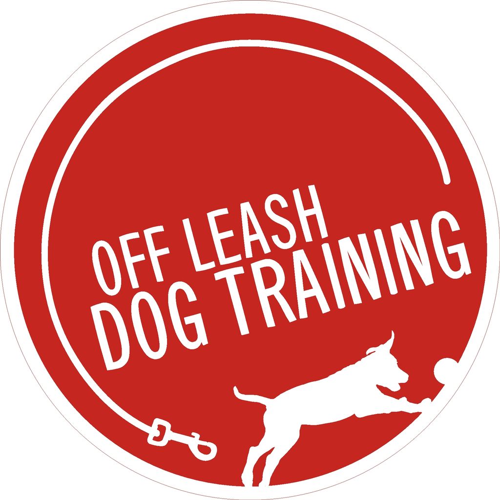 Off Leash Dog Training