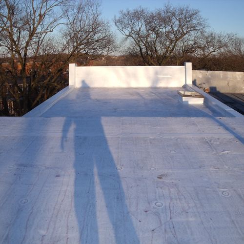 TPO (Thermoplastic Olefin) roof.  Pure white, refl