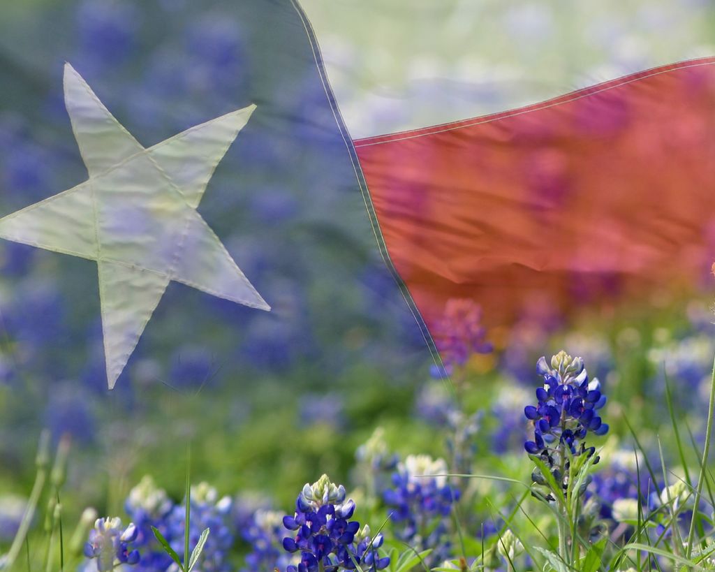 Serving North Texas