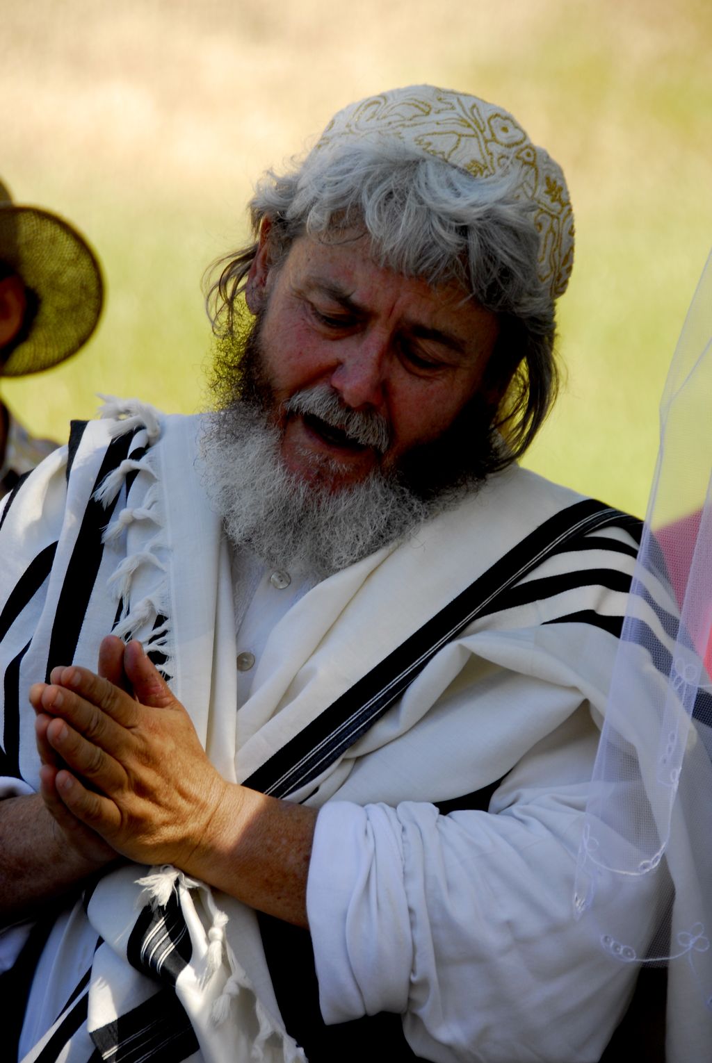 Rabbi Avram Davis