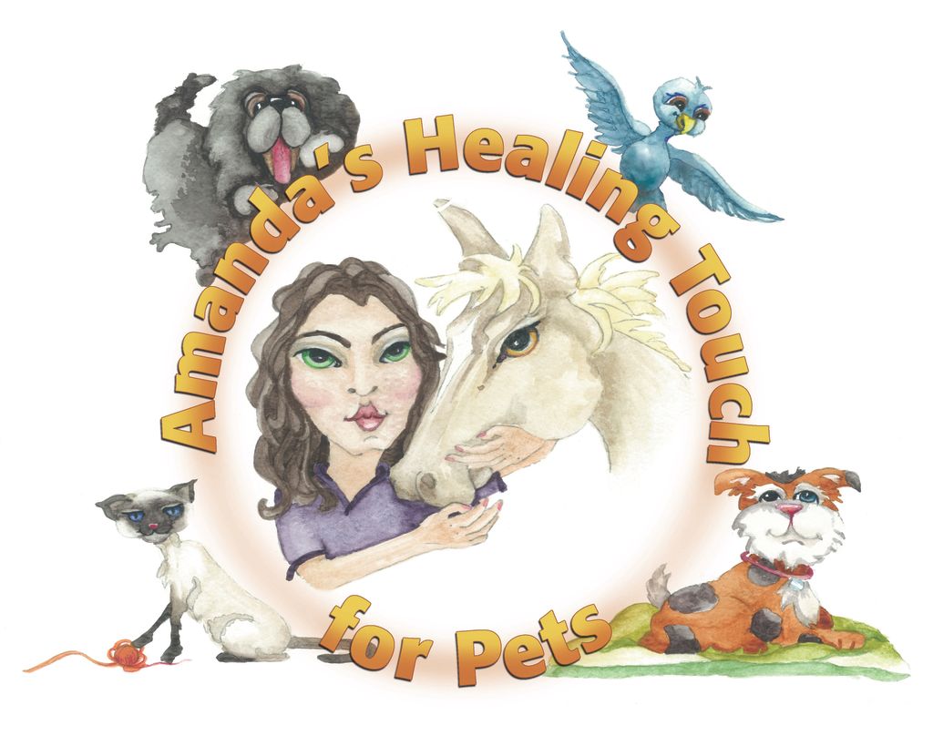 Amanda's Healing Touch for Pets