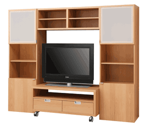 TV Stand & Entertainment Center Assembly Services