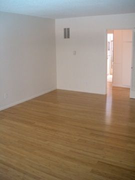 Bamboo Wood Floor
