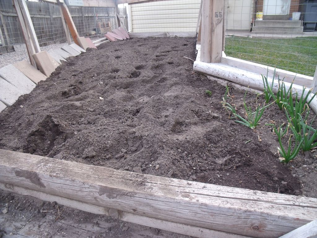 Tilled garden