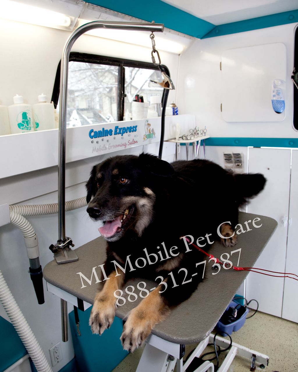 MI Mobile Pet Care
