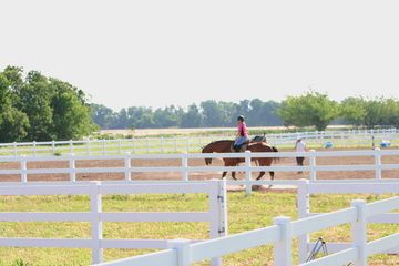 3 Outdoor vinyl Arenas. 200x300  Plenty of arena s