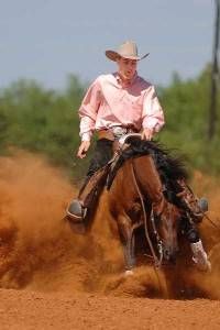 Western and English Riding disciplines.  Choose yo