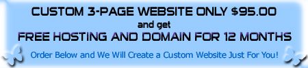 Custom 3-Page Website Special for only $95.00! Inc