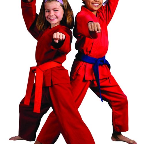 Martial arts is exciting and fun for both boys and