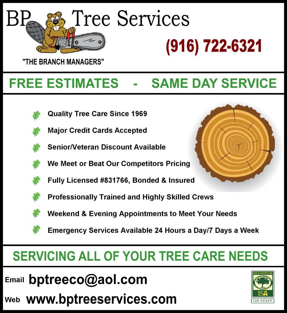 BP Tree Services