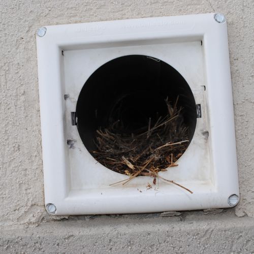 Nice Bird nest!!