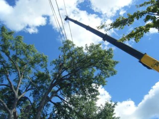 Crane at work. Making the removal much safer.