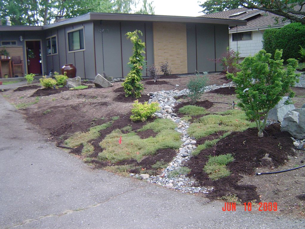 start of planting at residence in Bellevue