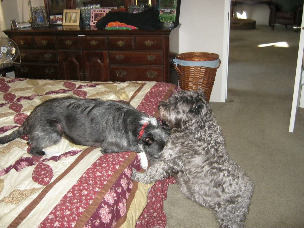 Morgan & Buddy playing
