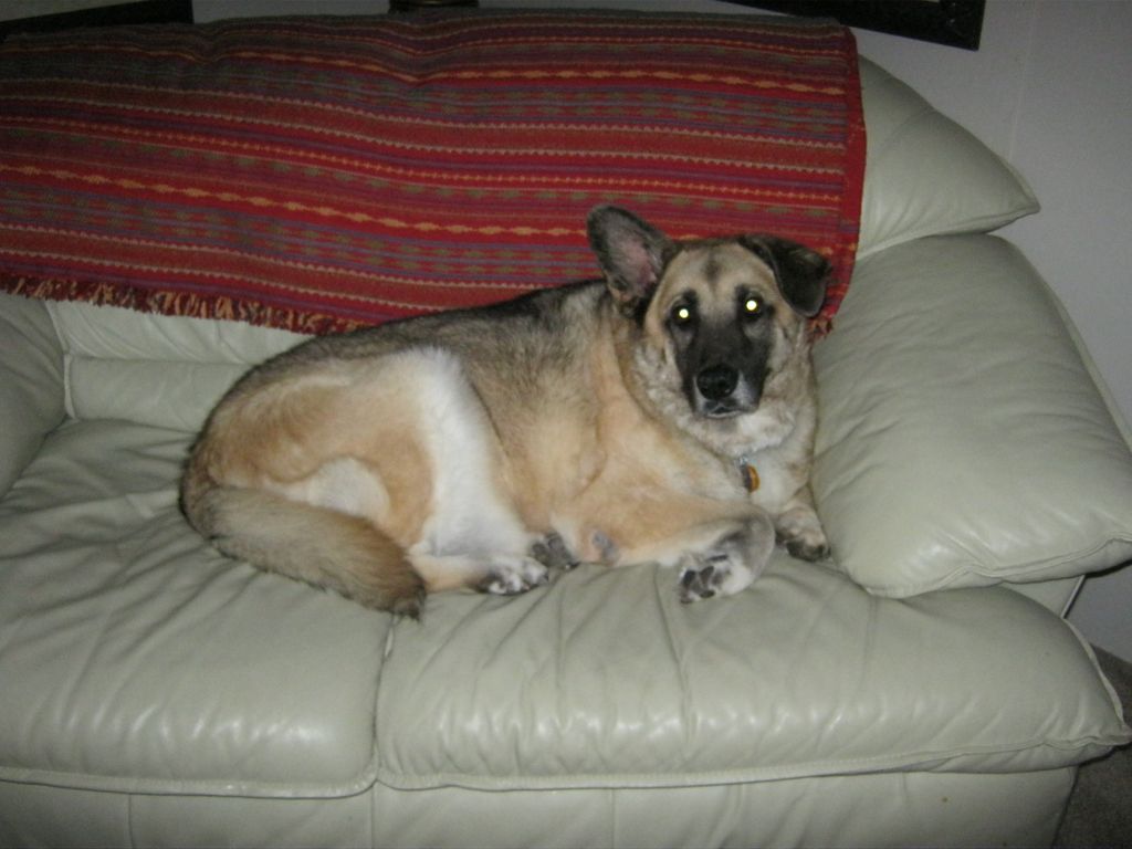 Woofy