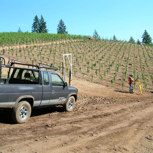 Vineyard Survey near Saint Helena