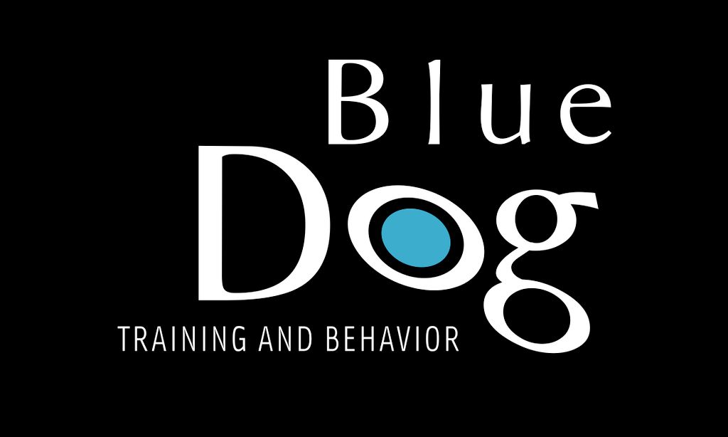 Blue Dog Training and Behavior