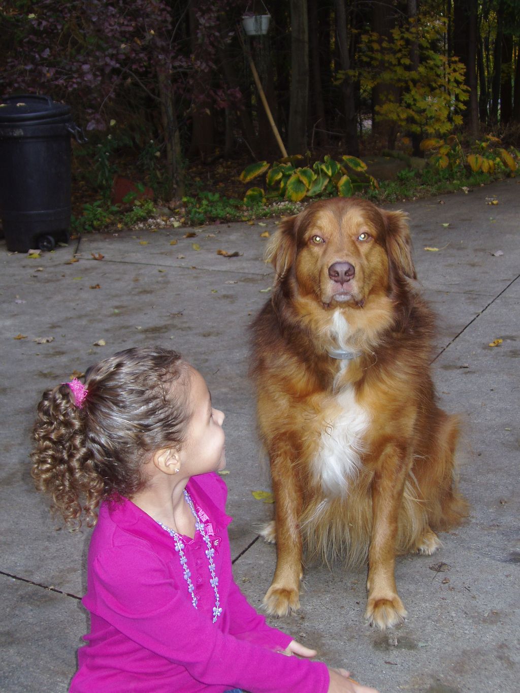Have small children?  We help teach dogs and kids 