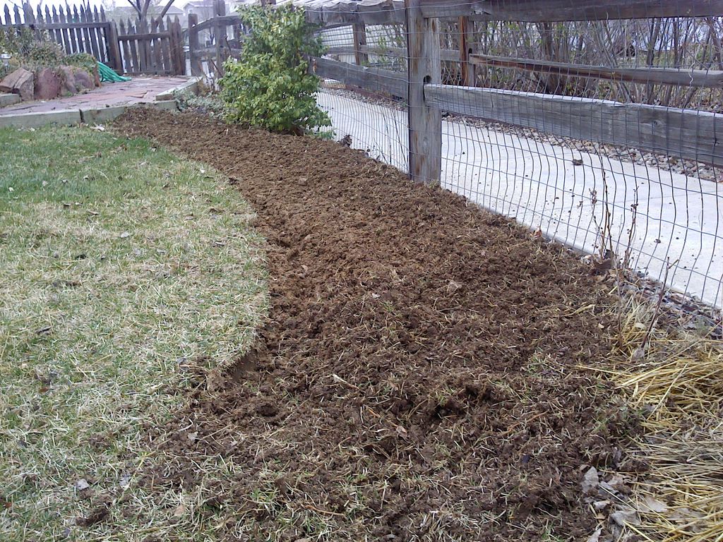 A second example of turning lawn area into garden 