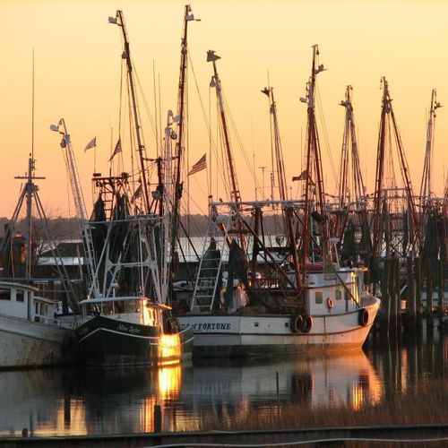 Charleston has the "Best" Shrimp on the East Coast