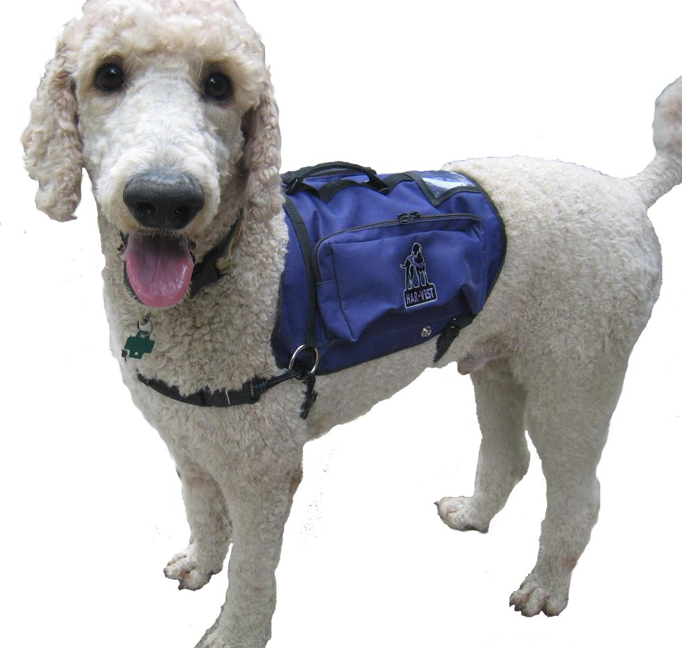 Har-Vest helps make your dog The Dawg.