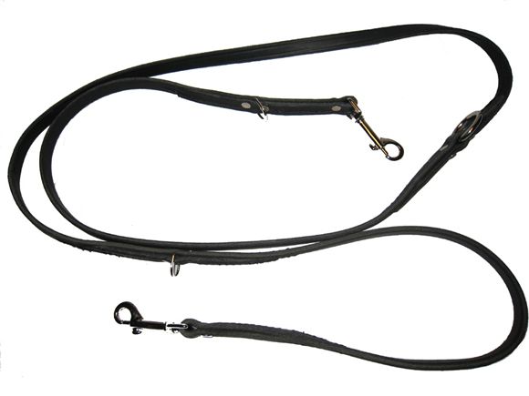 Six in one euroleash.