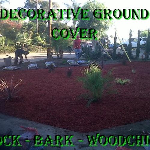 Colorful ground cover always make your yard stand 