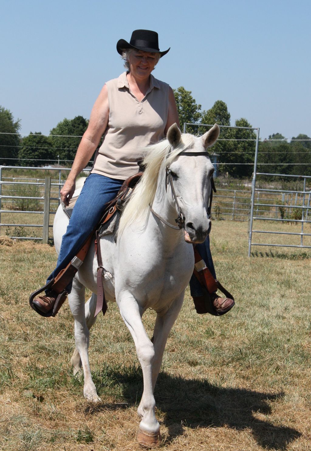 Cheryl Childs Horse Training