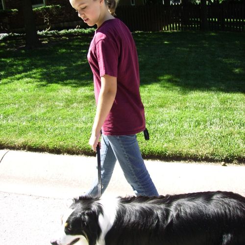 A pet learning to walk with a child