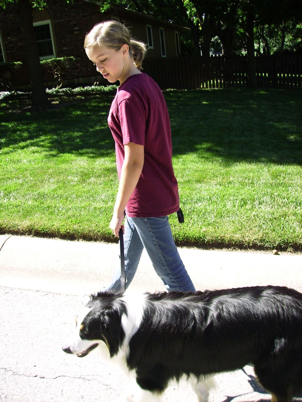 A pet learning to walk with a child
