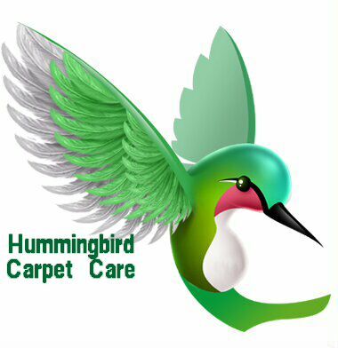 Hummingbird Carpet Care