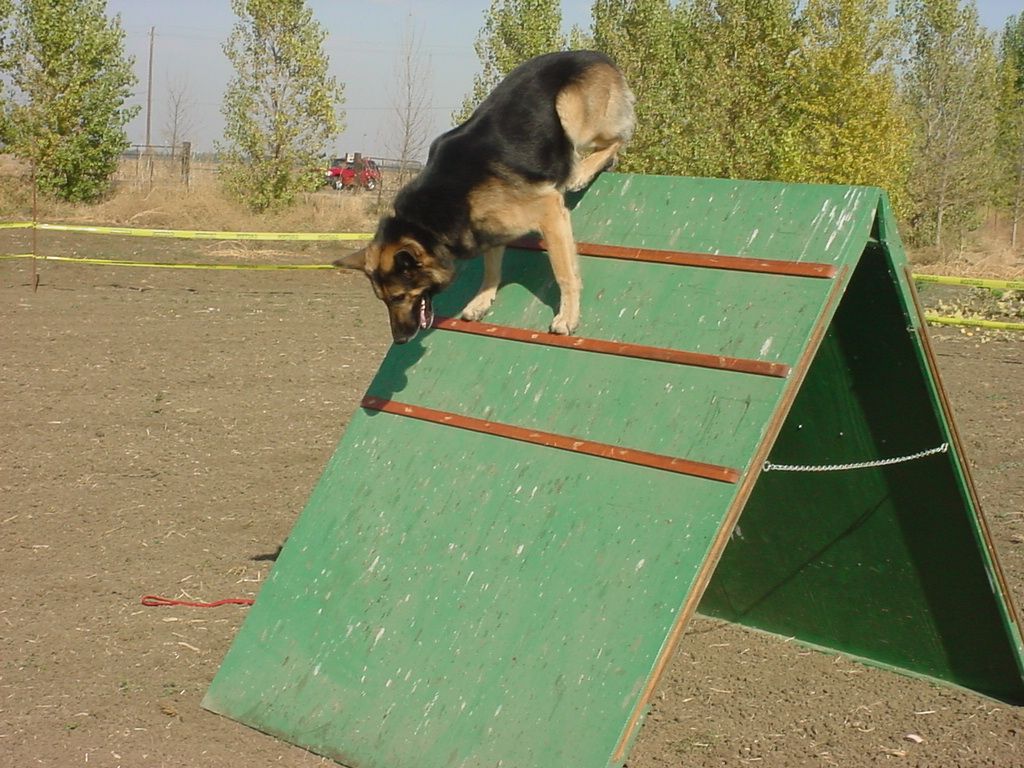 Agility