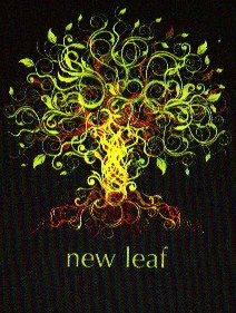 New Leaf Health Consulting