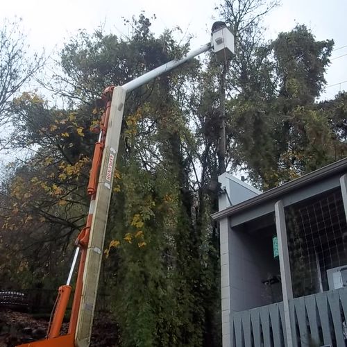 Removing unsafe tree at apartment complex.