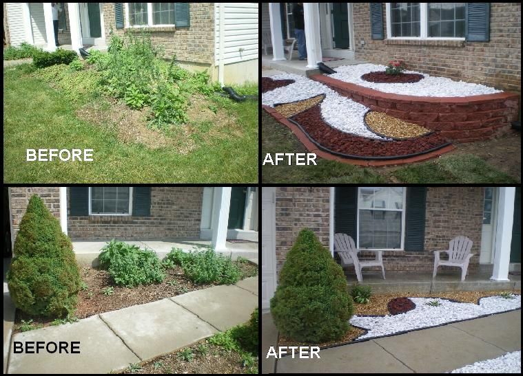Cola Landscaping & Lawn Care Service