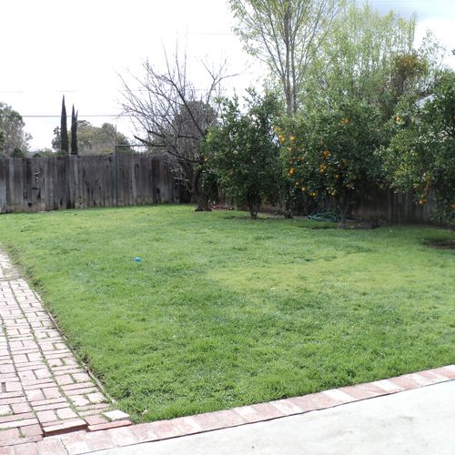 Large yard to play in.
