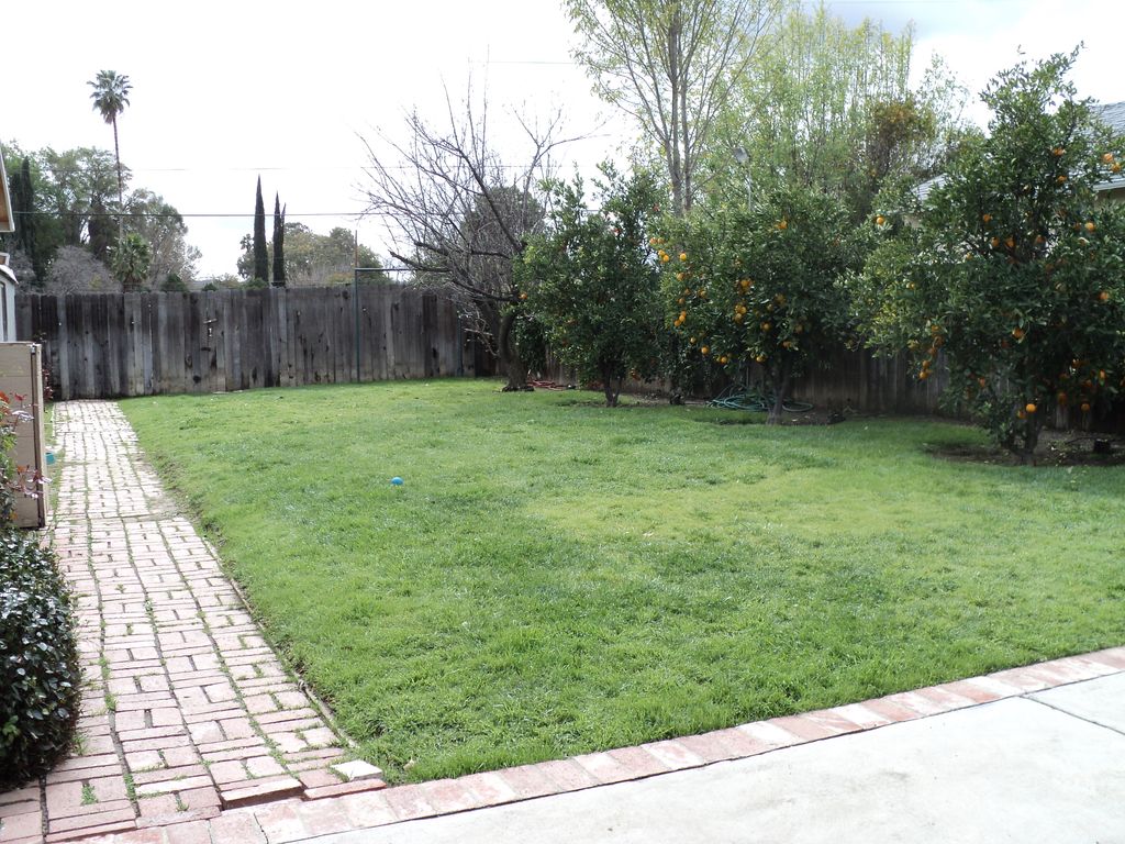 Large yard to play in.