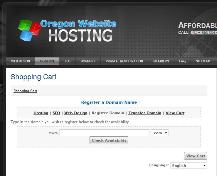 Website Hosting