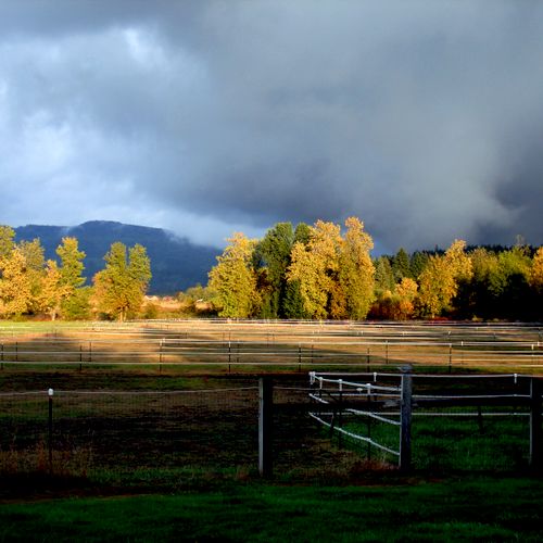 View over our pasture