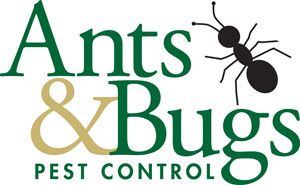 Ants & Bugs Pest Control