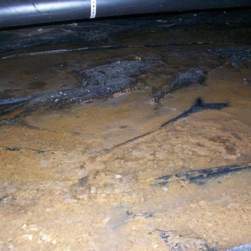 Sewage in the crawl space from a broken sewer line
