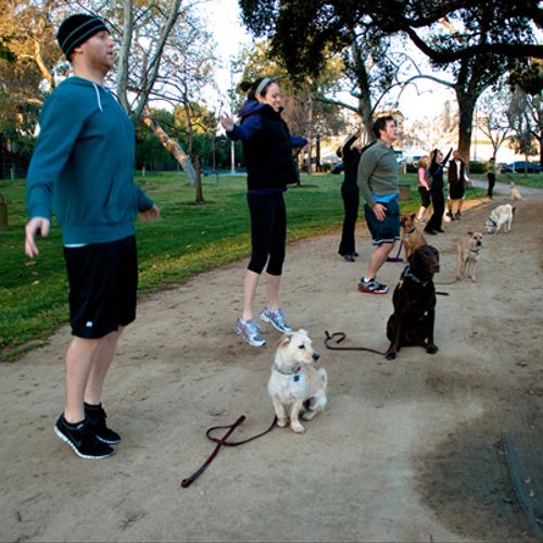Dogs are in command as the owners do jumping jacks