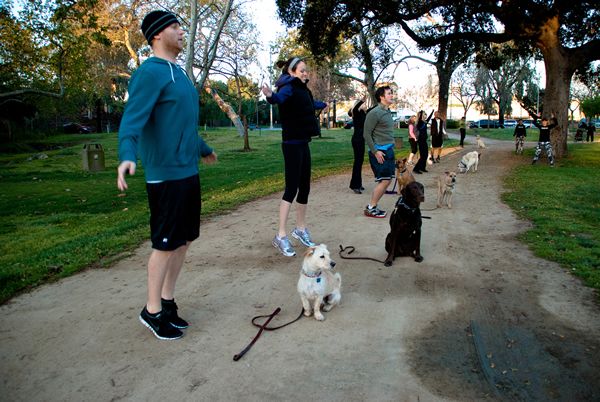 Dogs are in command as the owners do jumping jacks