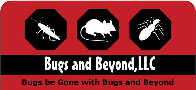 Bugs & Beyond LLC