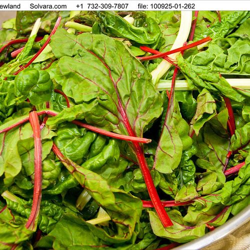 Swiss chard picked that day from my favorite organ