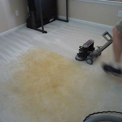 The Rotovac Carpet Restoration System in Action. Y