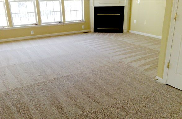 Carpet