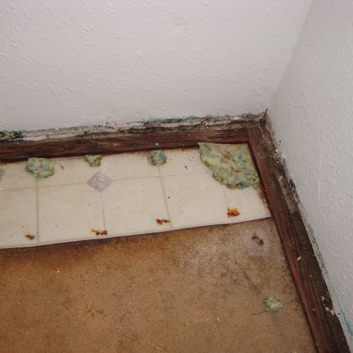 Mold on walls and floor this stuff can make you ve